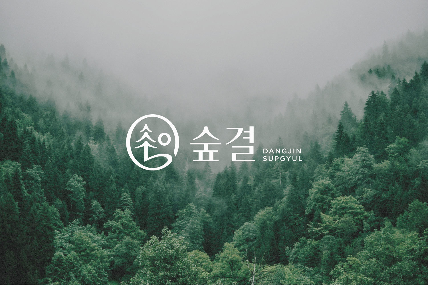 DANGJIN SUPGYUL, 2026