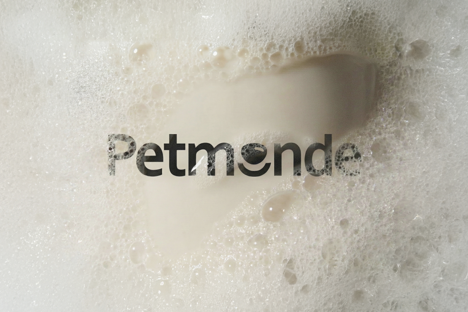 PETMONDE, 2025